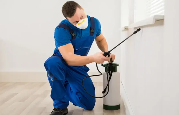 What Attracts Cockroaches to Your Home?