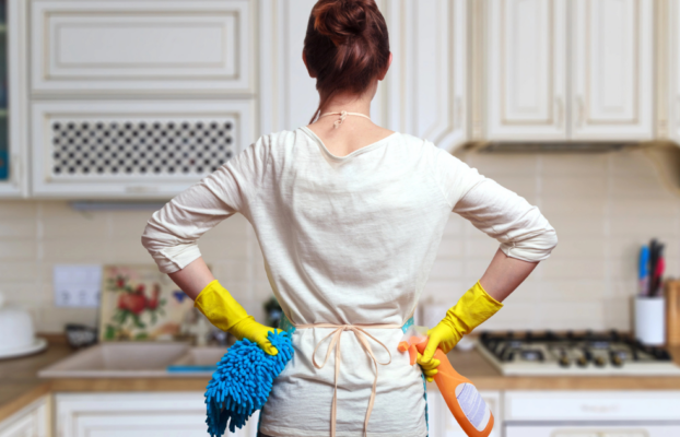 Why Ants Persist in a Clean Home: 5 Reasons